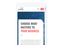 Responsive Mobile Web Design